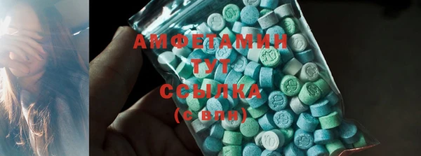 ГАЛЛЮЦИНОГЕННЫЕ ГРИБЫ Елабуга