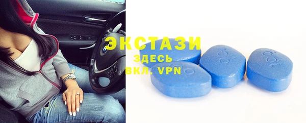 ECSTASY Ельня