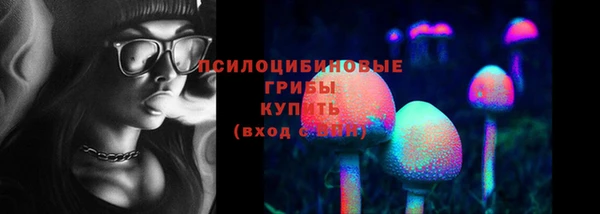 ГАЛЛЮЦИНОГЕННЫЕ ГРИБЫ Елабуга