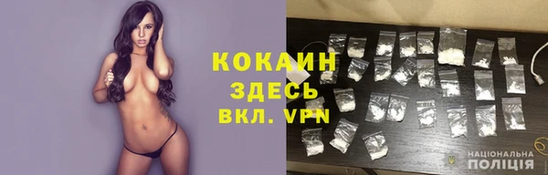сатива Елизово