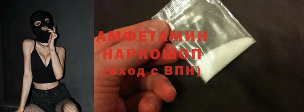 ECSTASY Ельня