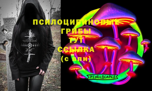 ECSTASY Ельня