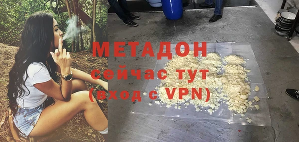 сатива Елизово