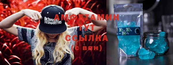 ГАЛЛЮЦИНОГЕННЫЕ ГРИБЫ Елабуга