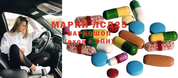 ECSTASY Ельня