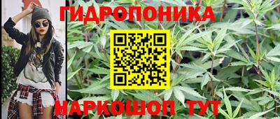 таблы Краснознаменск