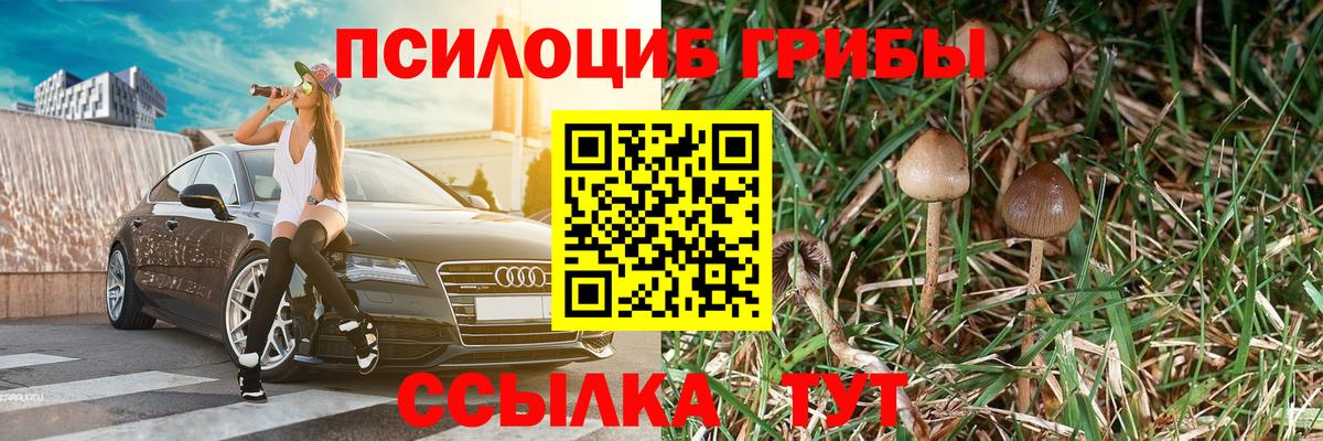 Галлюциногенные грибы GOLDEN TEACHER  Галлюциногенные грибы прущие грибы  Пыть-Ях 