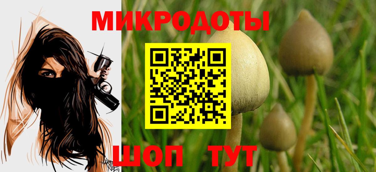 Псилоцибиновые грибы GOLDEN TEACHER Пыть-Ях