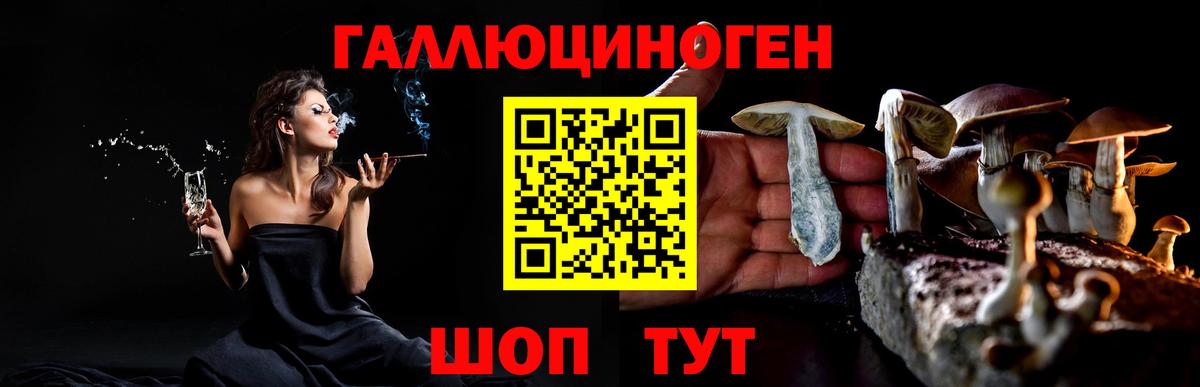 Пыть-Ях  Псилоцибиновые грибы Magic Shrooms  Псилоцибиновые грибы Psilocybine cubensis  Вход с VPN 